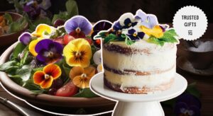 What are the uses of the pansy flower