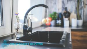What water should be used when watering monstera plants