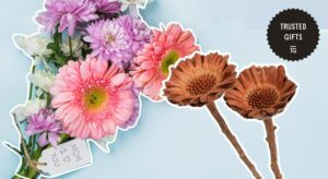 How can gerbera flowers be used in floral crafts and arrangements