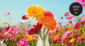 How did the gerbera flower get its name