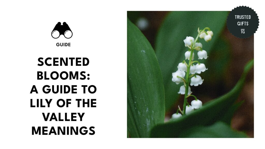 Lily of the Valley Meanings Fragrant Message in Every Bloom
