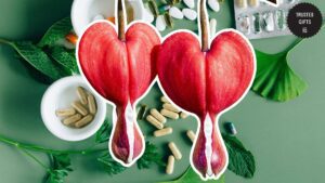 bleeding-heart-flower-in-medicine