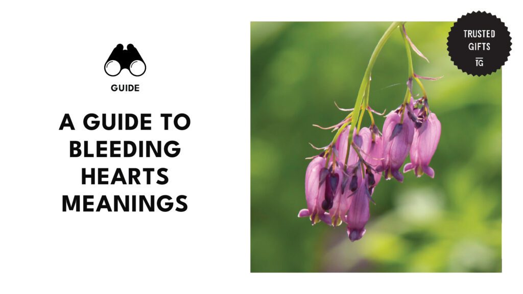 bleeding-hearts-meanings-banner