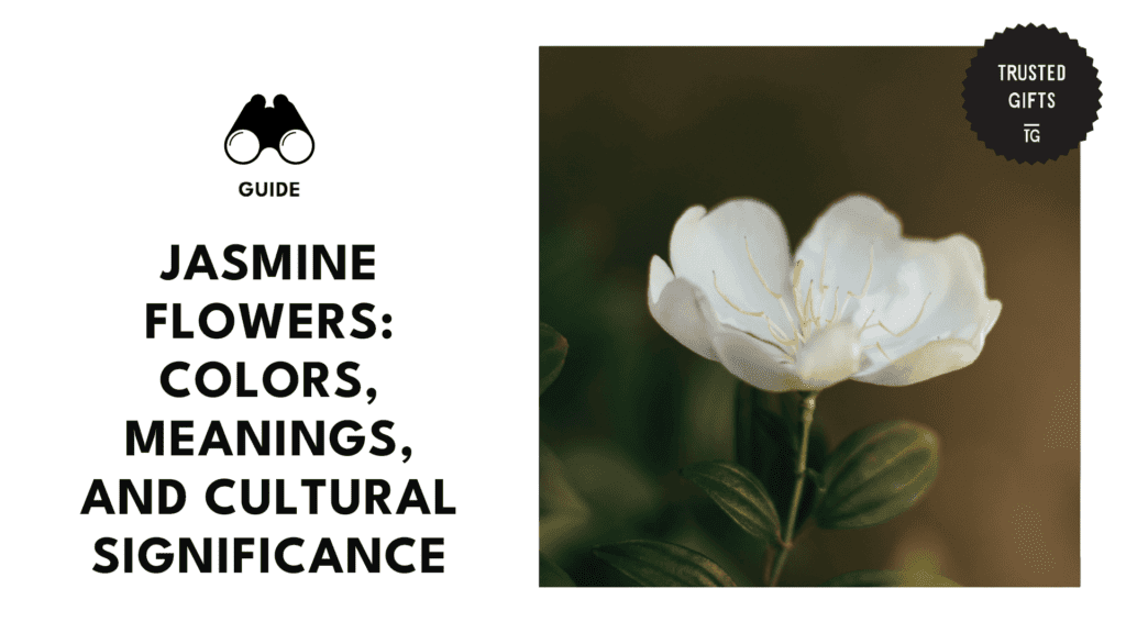 jasmine-flowers-meanings-banner