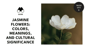 jasmine-flowers-meanings-banner