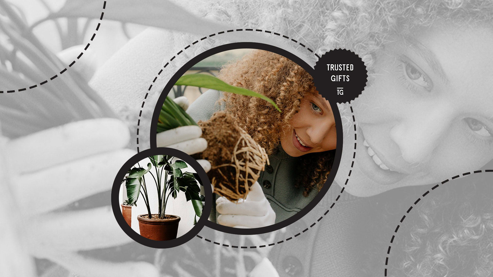 Ultimate Guide to Growing a Happy and Thriving Banana Plant [2026]