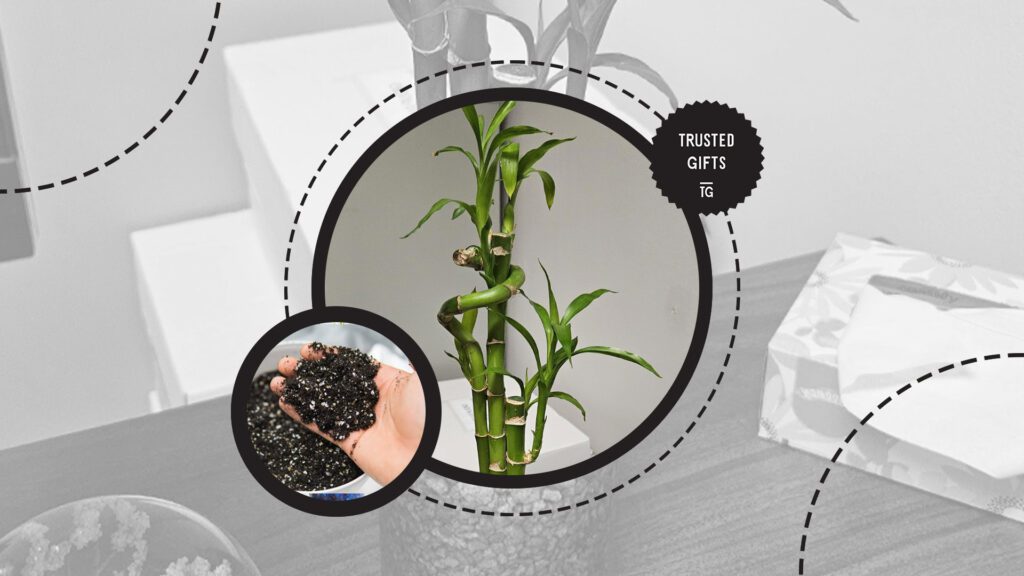 aeration