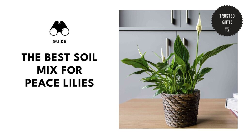 best-soil-mix-for-peace-lilies-banner