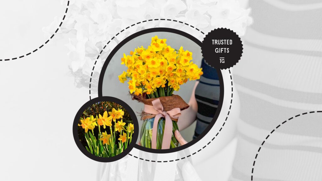 jonquil-flowers-color-means