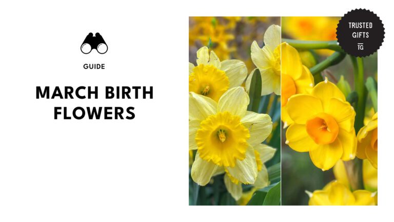 march-birth-flowers-banner