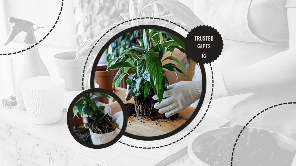 peace-lilies-nutrient-content