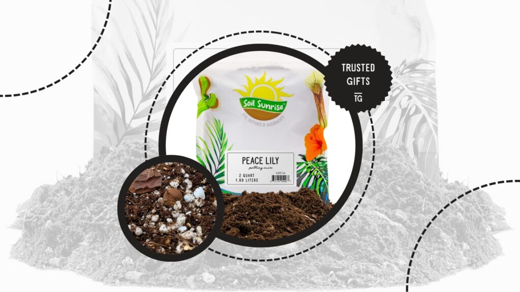 peace-lilies-soil-mix-recipes