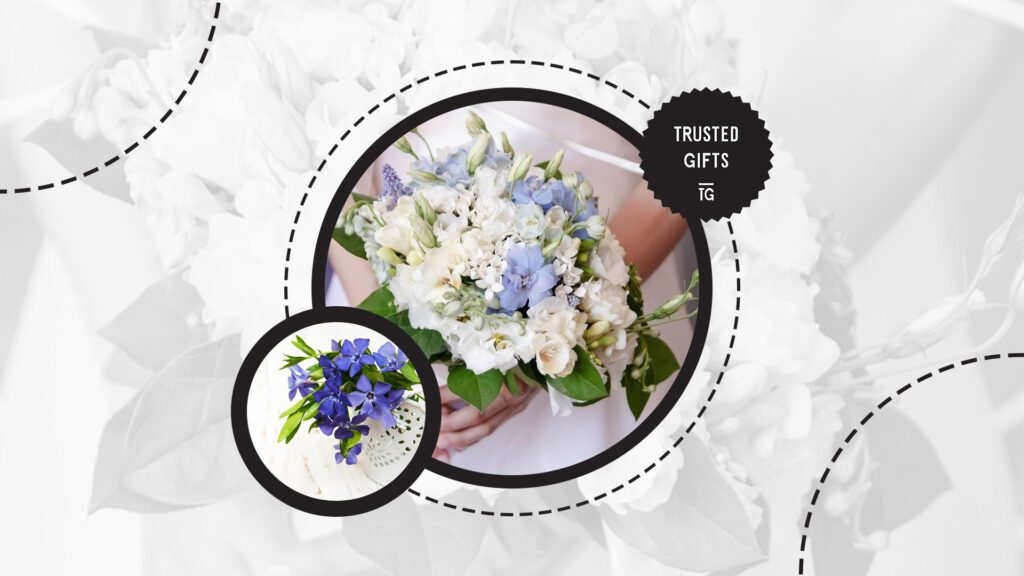 periwinkle-flowers-means