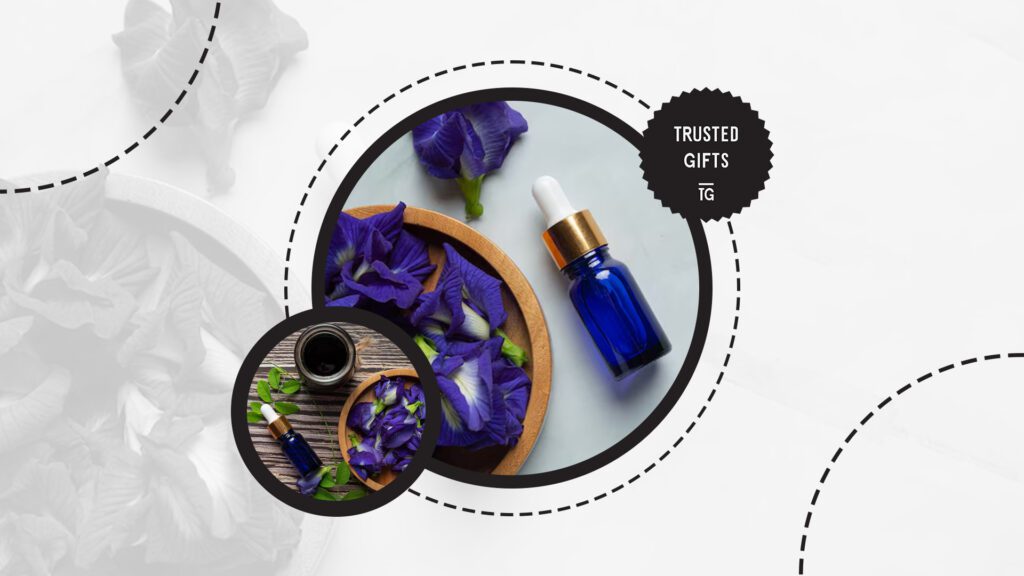 periwinkle-flowers-uses-in-medicine