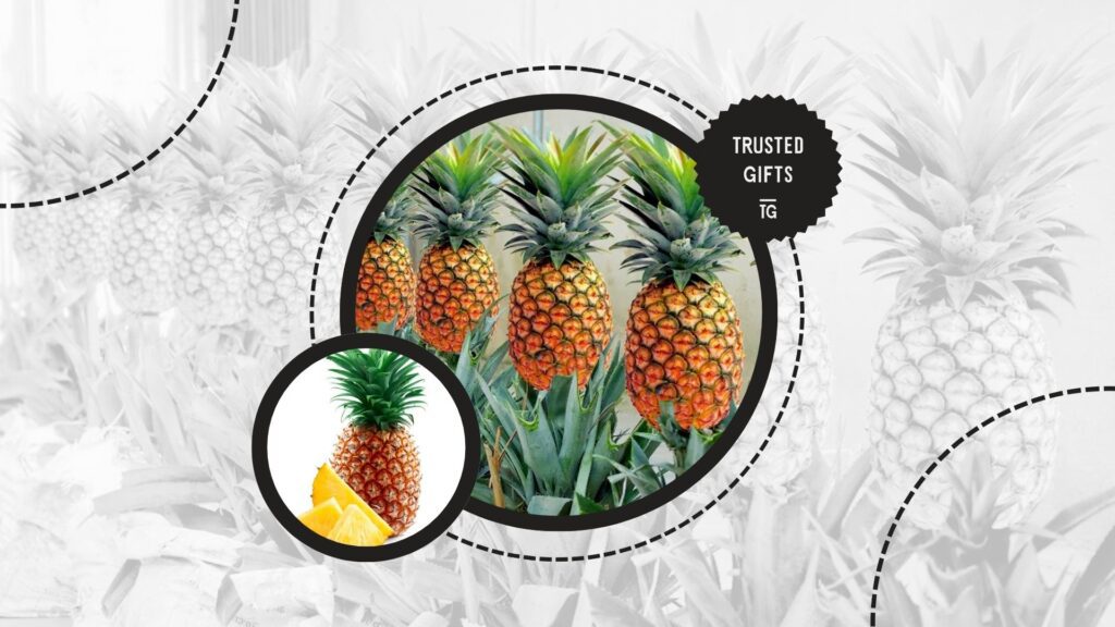 pineapples